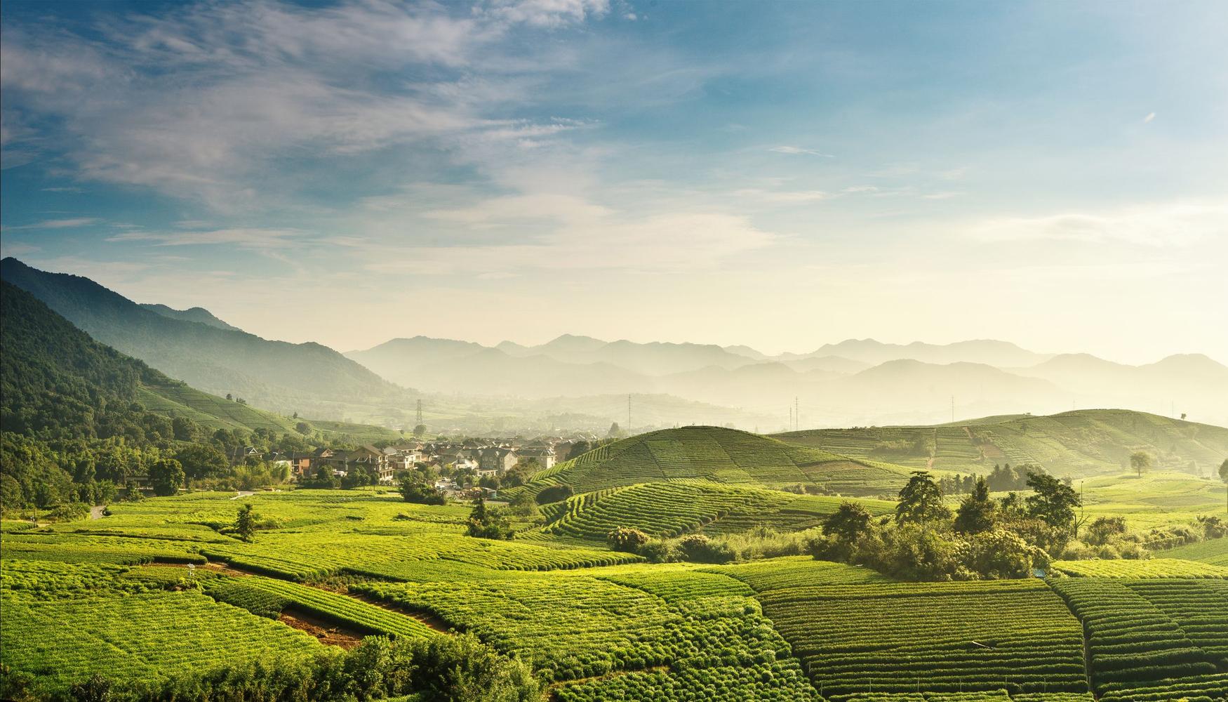 Hangzhou Travel Guide Hangzhou Tourism Kayak