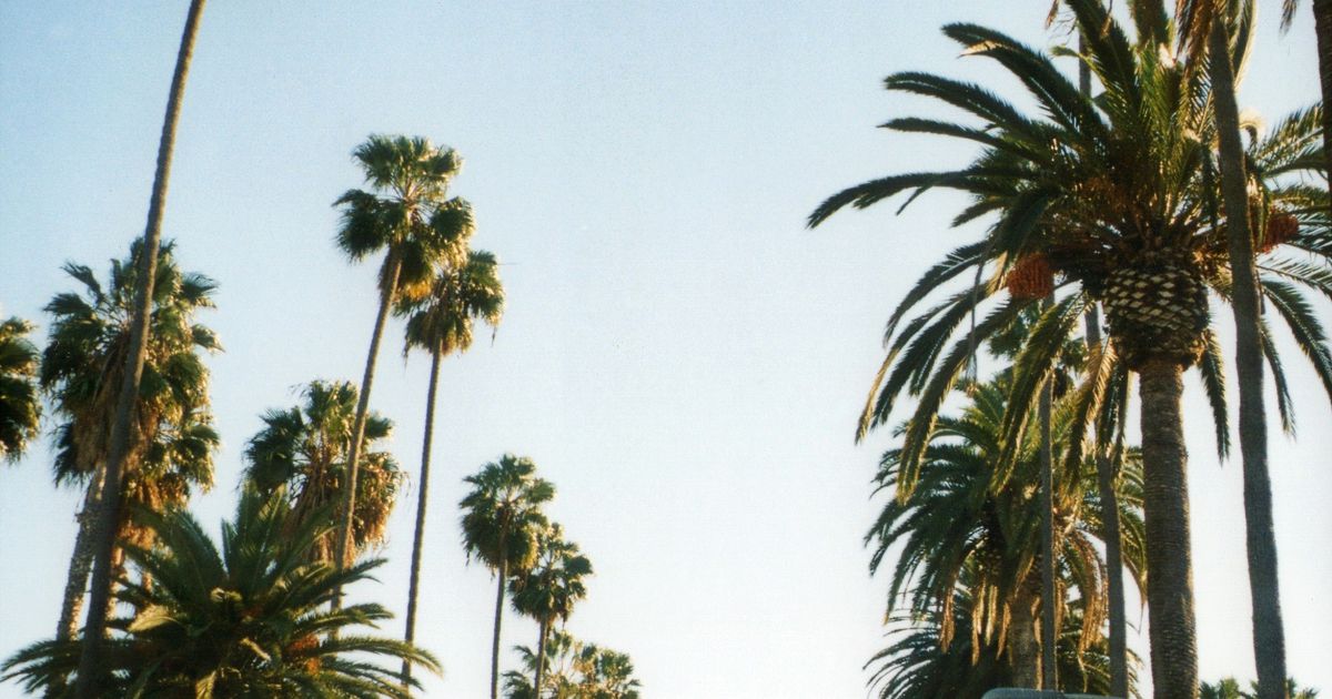 Car Rentals in West Hollywood from 26/day Search for Rental Cars on