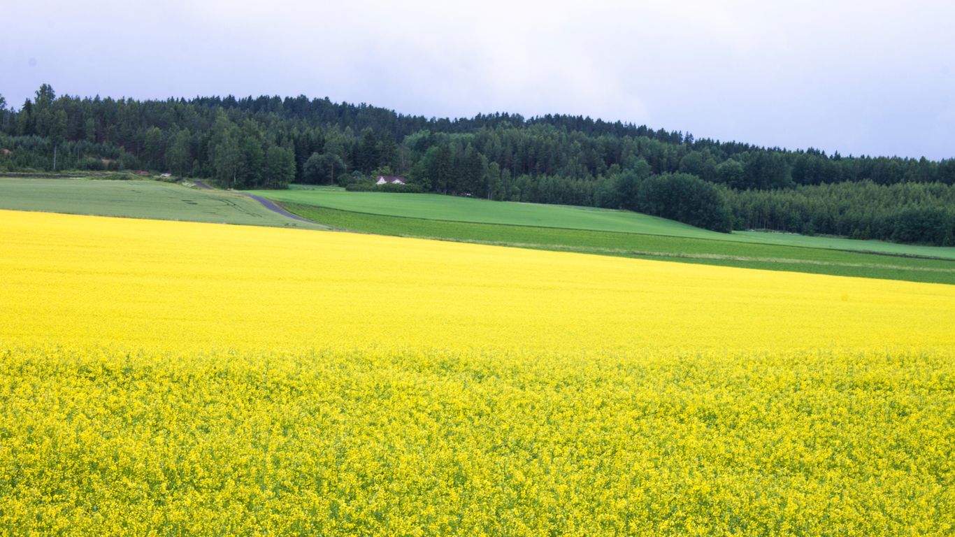 Hoteluri în Uusimaa