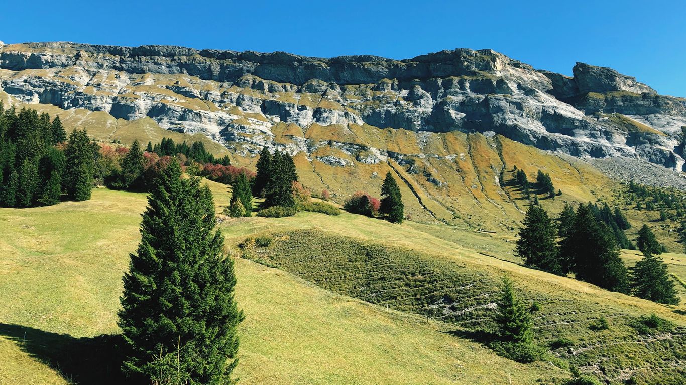 Laax Laax