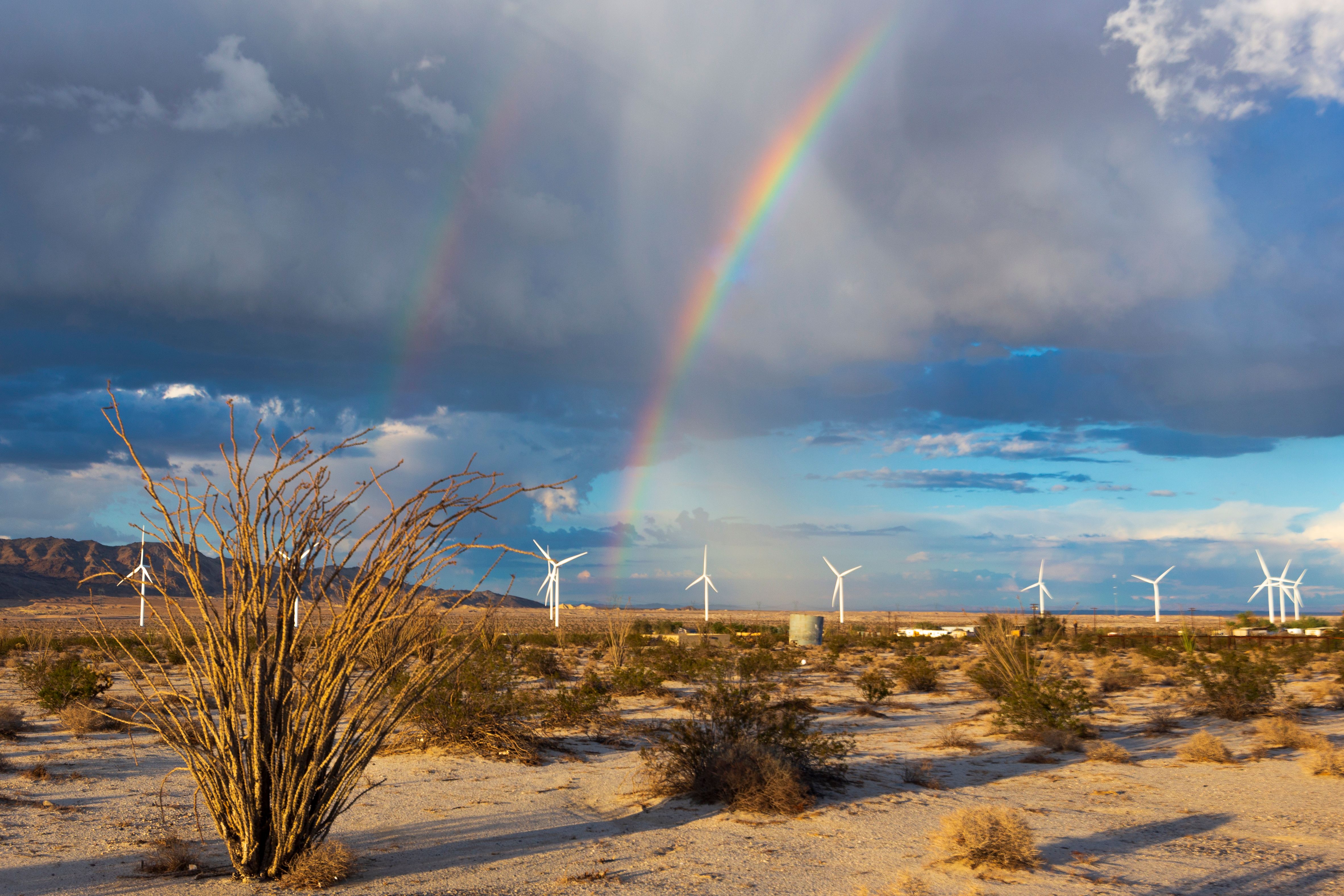 Ocotillo Travel Guide Ocotillo Tourism KAYAK