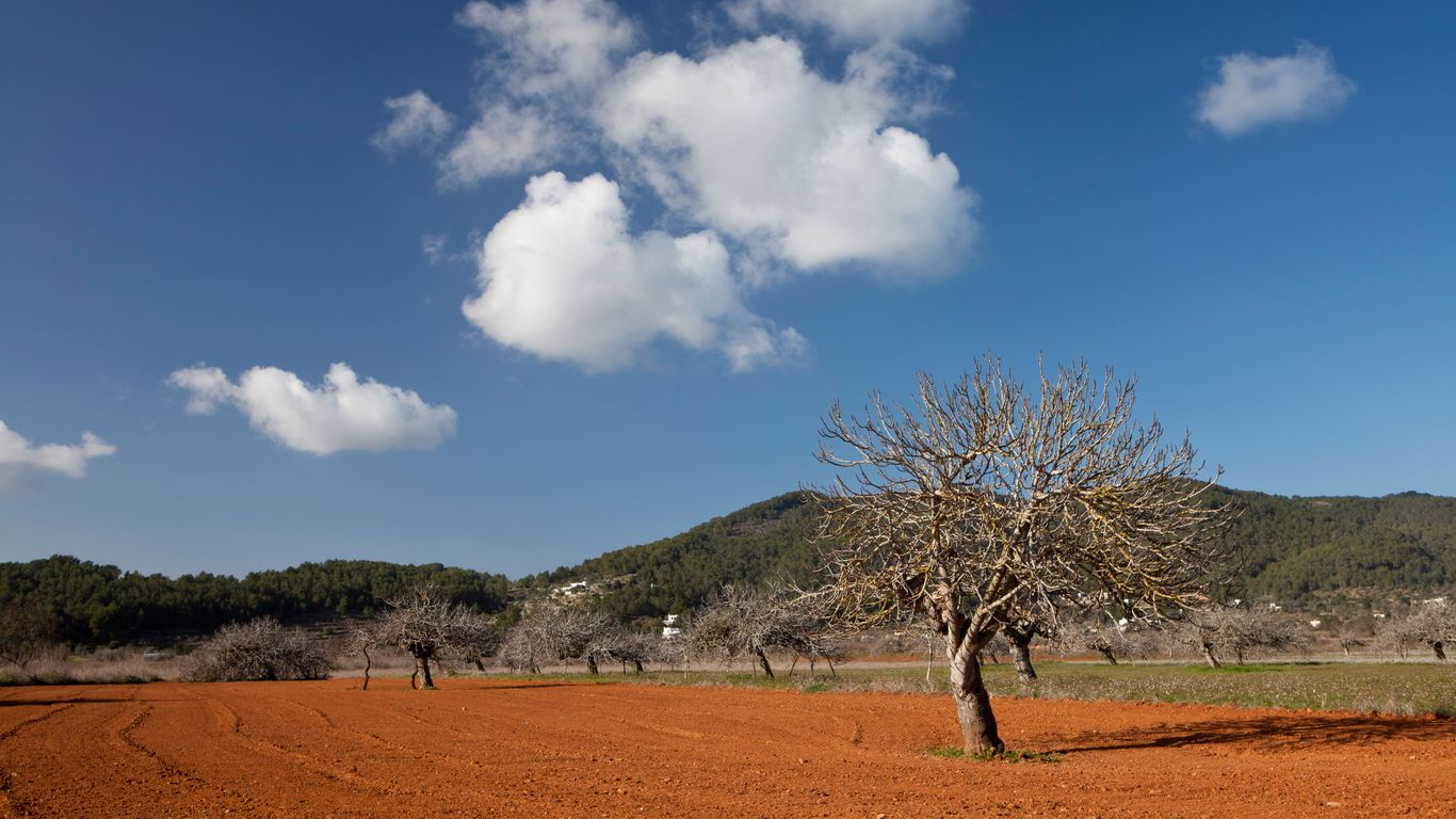 Hoteles en Sant Miquel de Balansat