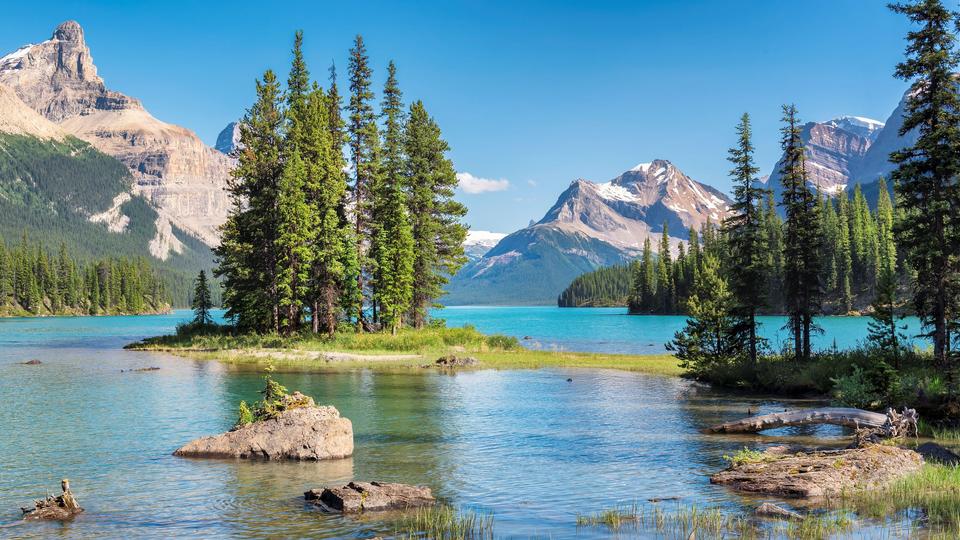 Cheap One-Way Flights | momondo