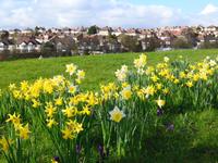 Barnet hotels