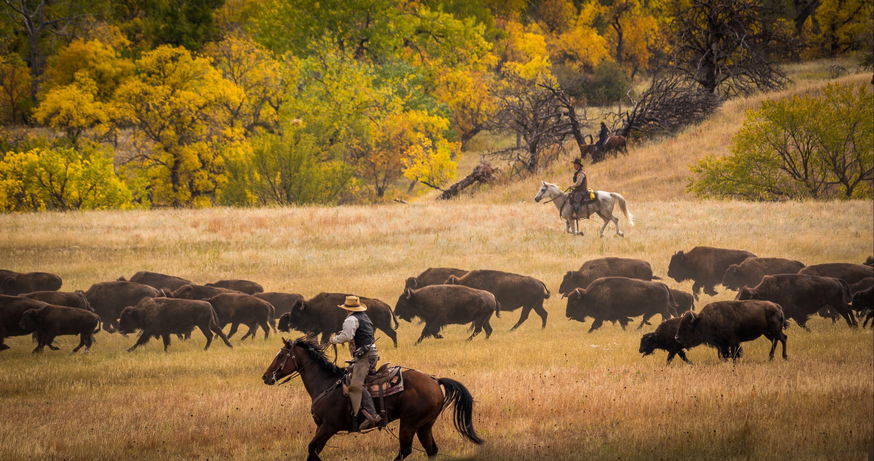 Cheap Flights from Colorado to Montana from 104 KAYAK