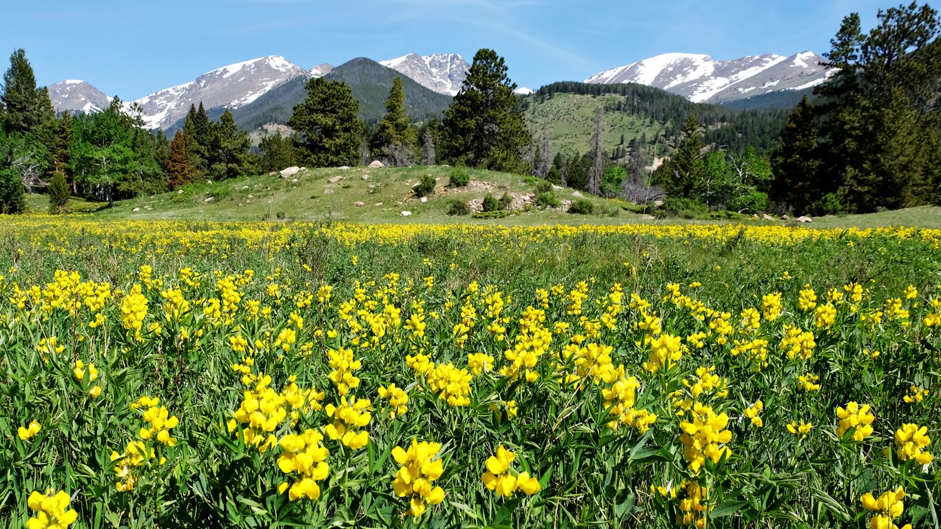 Estes Park