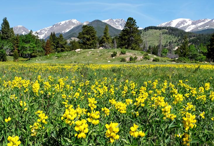 Hotels In Colorado Search For Hotels On Kayak