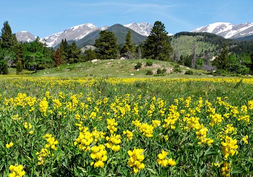 Wildwood Inn 131 2 3 8 Estes Park Hotel Deals Reviews Kayak Wildwood Inn 131 2 3 8 Estes Park Hotel Deals Reviews Kayak