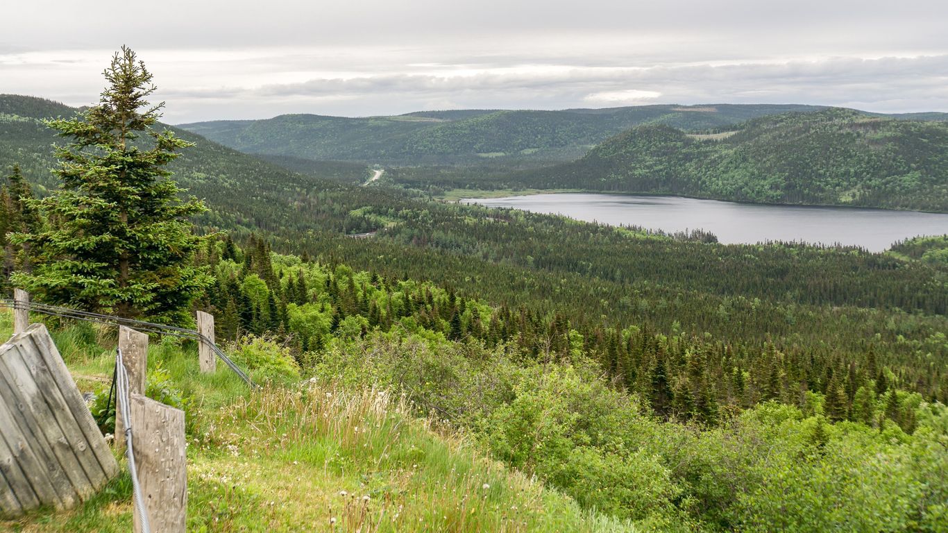 Deer Lake Deer Lake