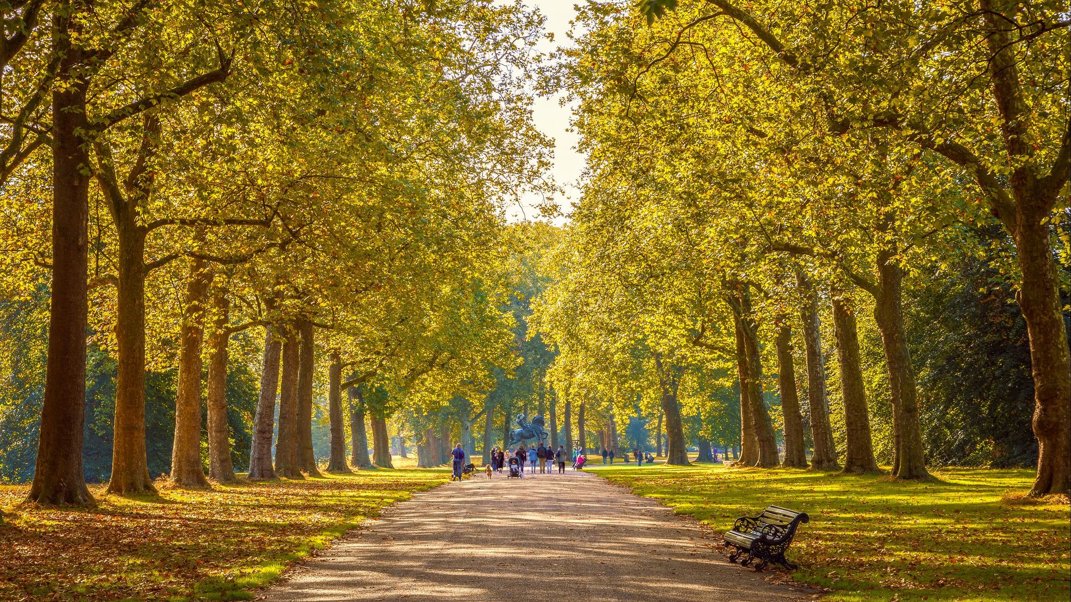 Hotels near Hyde Park (London) from £55/night - KAYAK