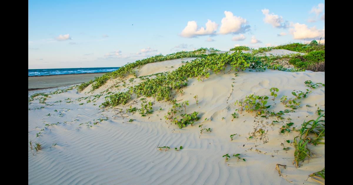 Car Rental South Padre Island from 34/day Search for Car Rental South Padre Island from 34/day Search for