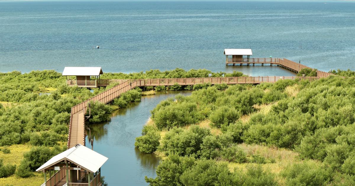 16 Best South Padre Island Vacation Rentals from $118/night - KAYAK