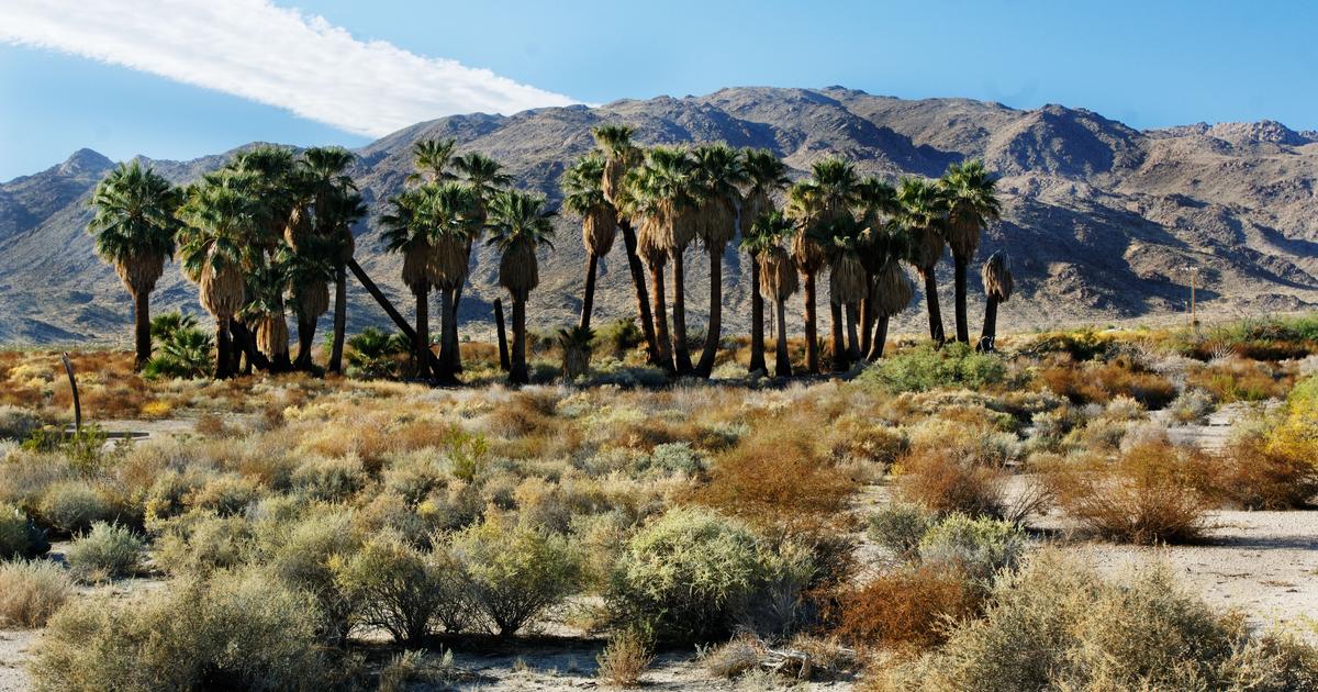 12 Best Hotels in Twentynine Palms. Hotels from $52/night - KAYAK