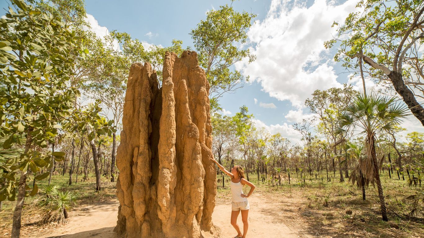 Flights to Northern Territory