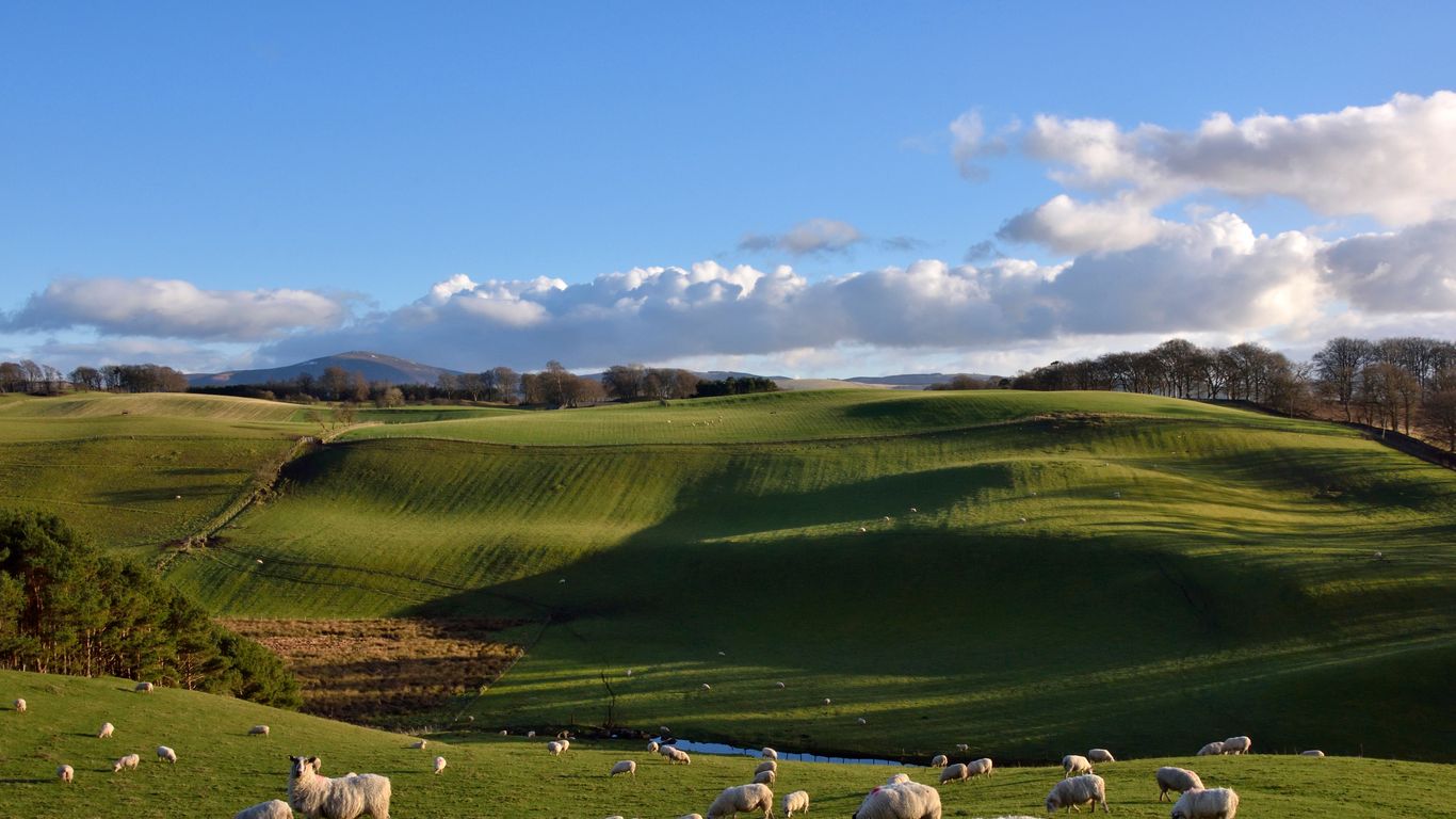 Hotels in Lanark