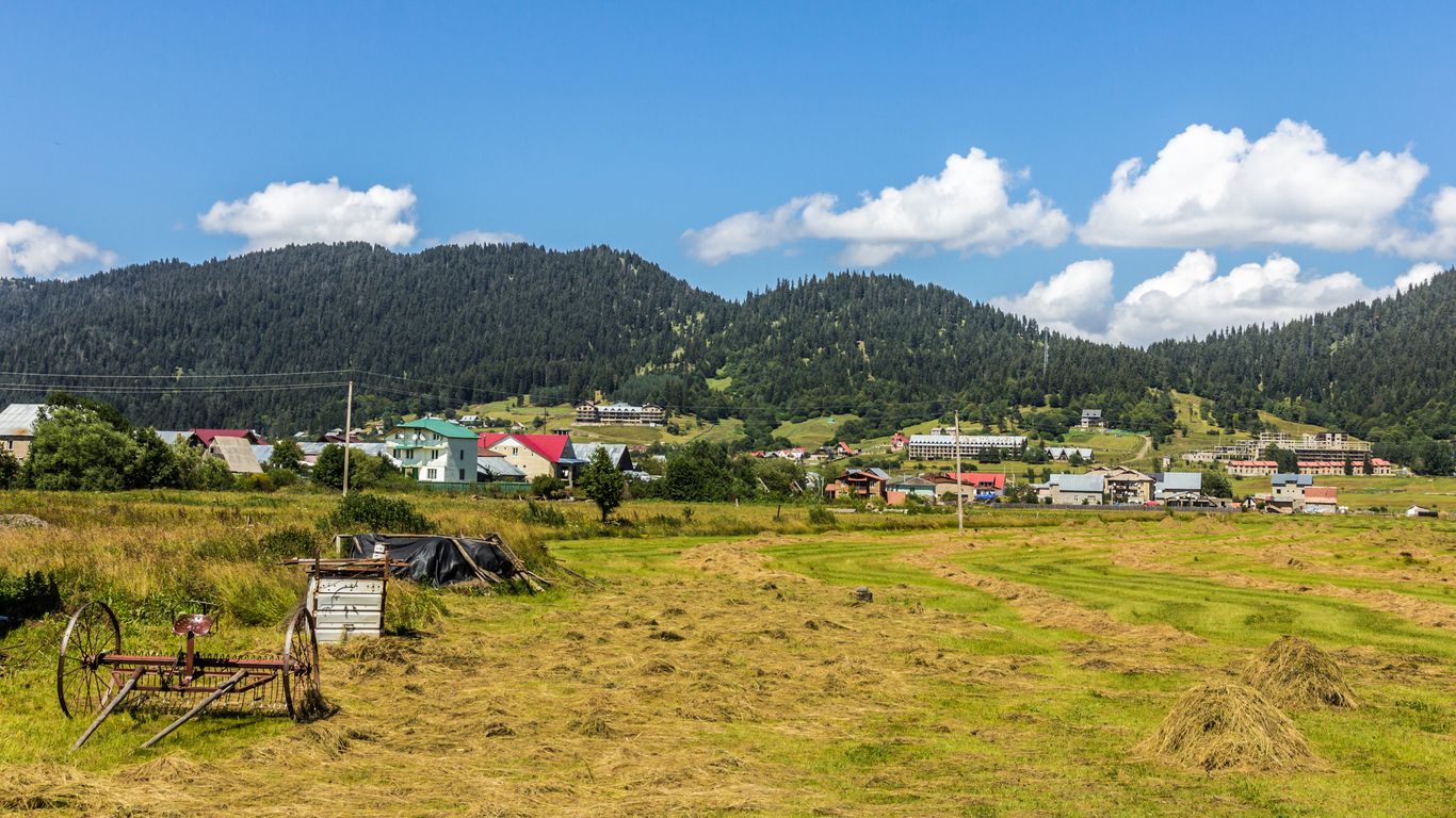 Hotels in Bakuriani