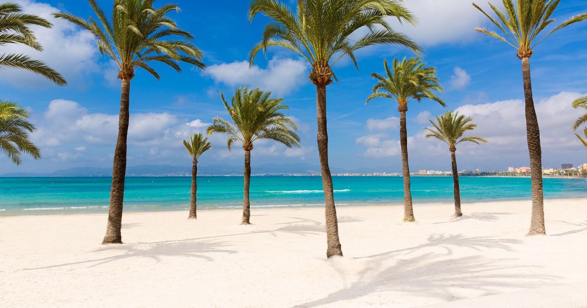 Hotel A S Arenal Da 19 Notte Cerca Su Kayak