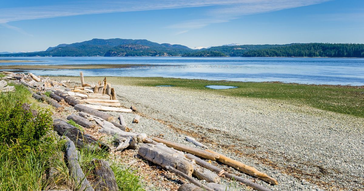 Cheap Flights from Bristol to Vancouver Island KAYAK