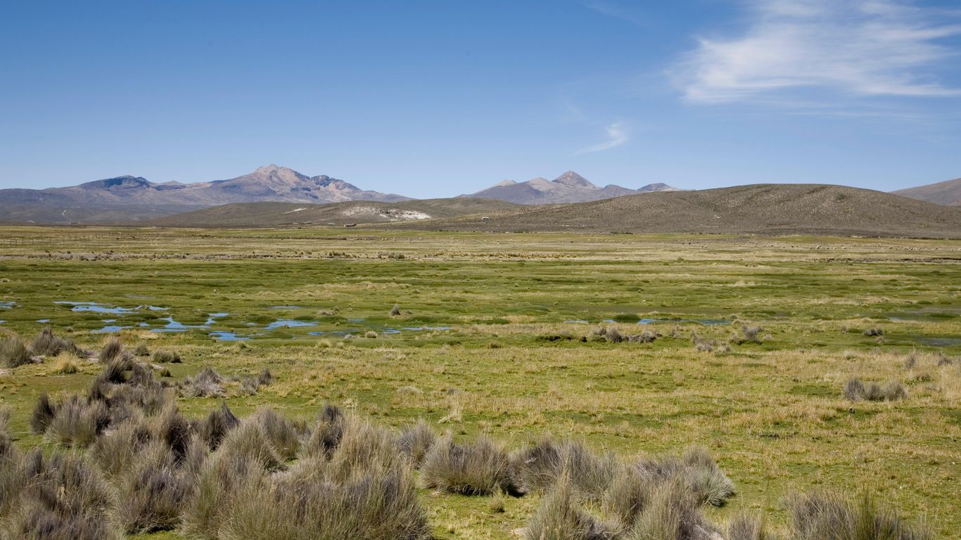 Hotels in Tacna