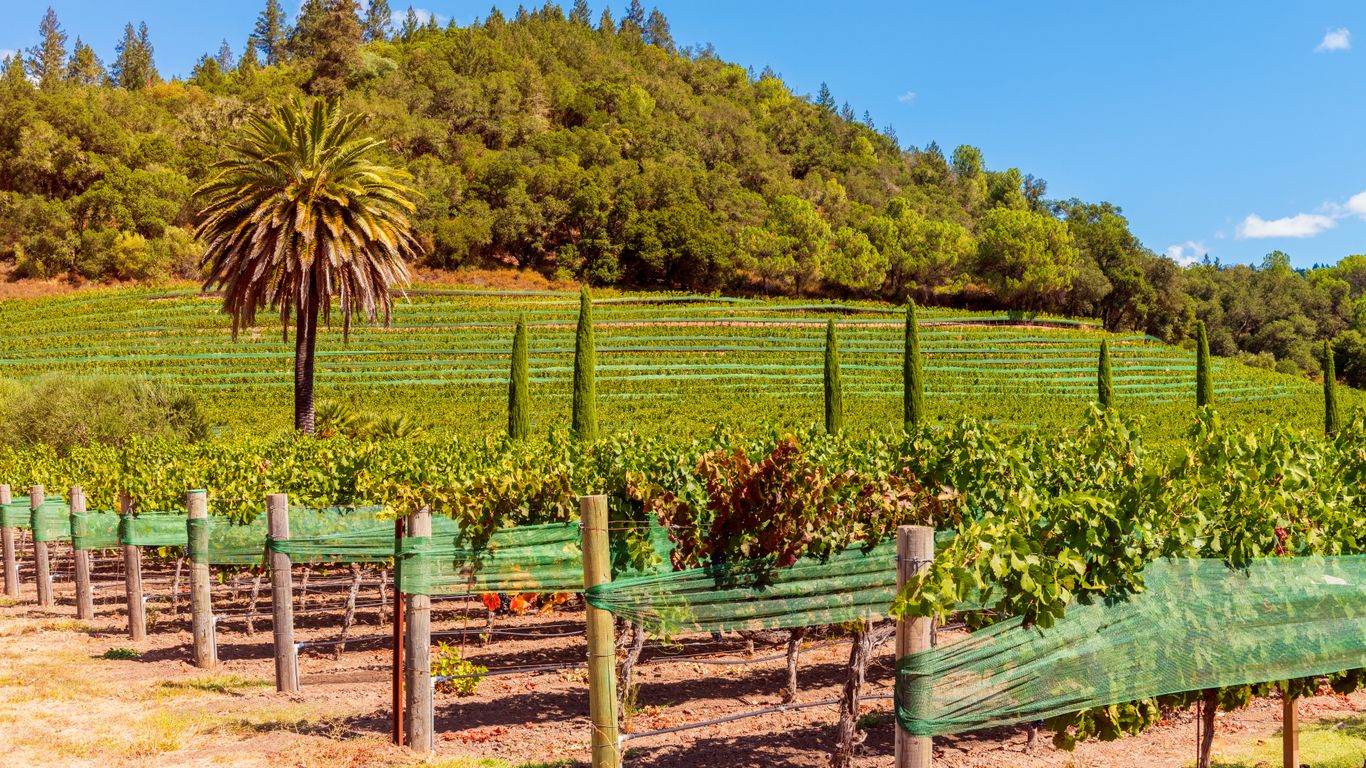 Holidays in Saint Helena