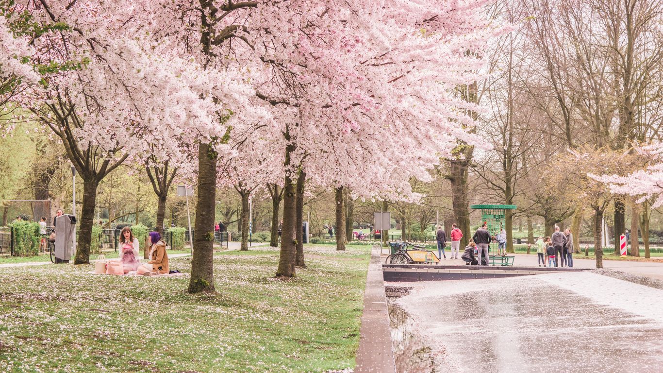 Westerpark Westerpark