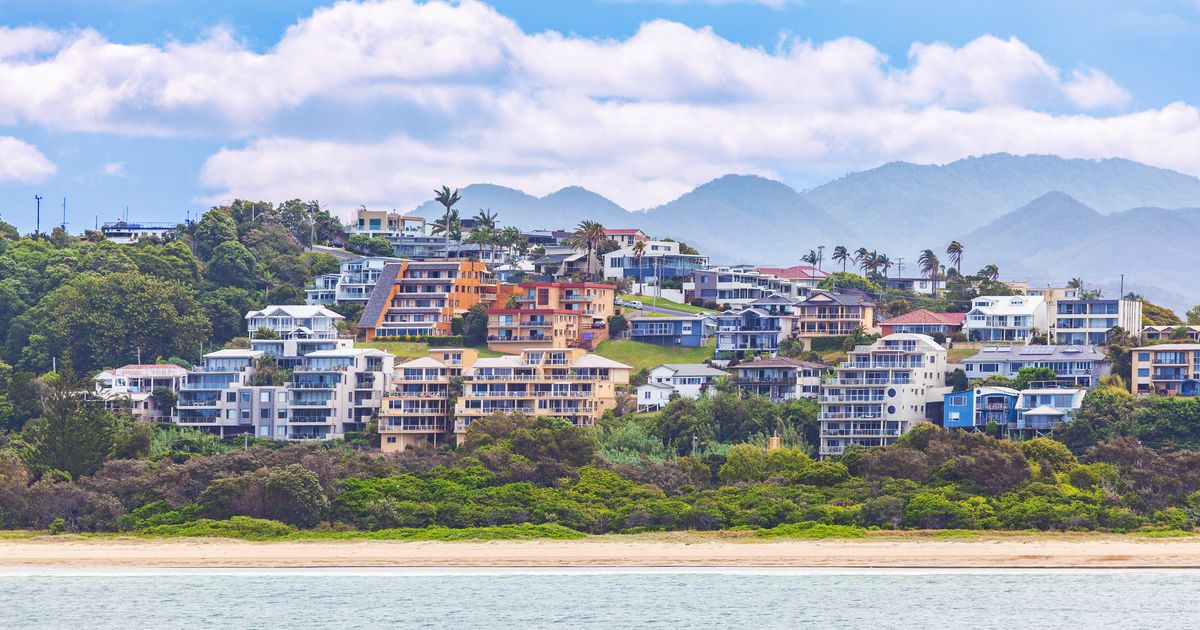 Honor Flight Of West Central Florida Flights From Melbourne To Coffs Harbour Australia