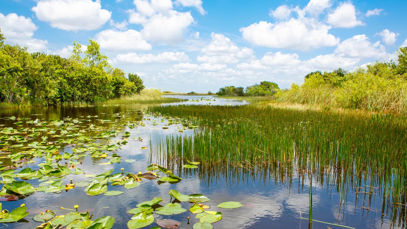Hotels in Everglades