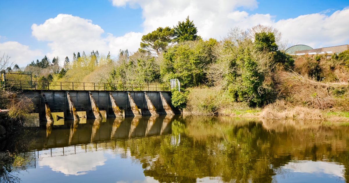 Chambres d'hôtes à Downpatrick à partir de 60 €/nuit - KAYAK