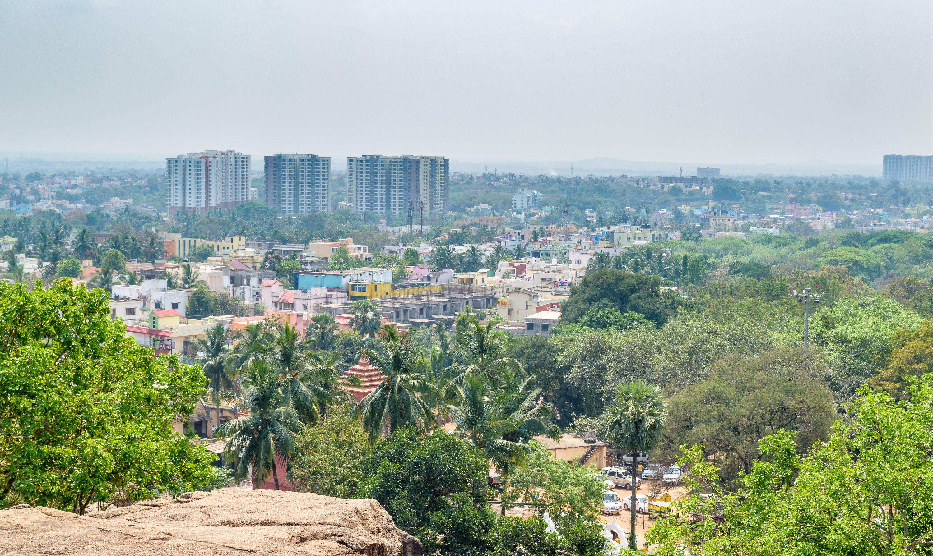 HD wallpaper: india, bhubaneswar, tree, transportation, plant, city, road |  Wallpaper Flare