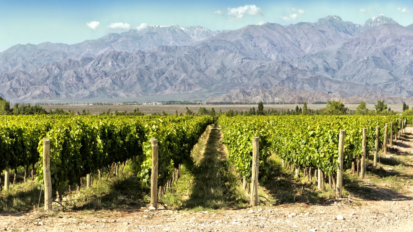Mendoza Mendoza