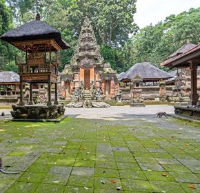 Ubud Monkey Forest