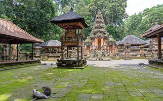 Ubud Monkey Forest