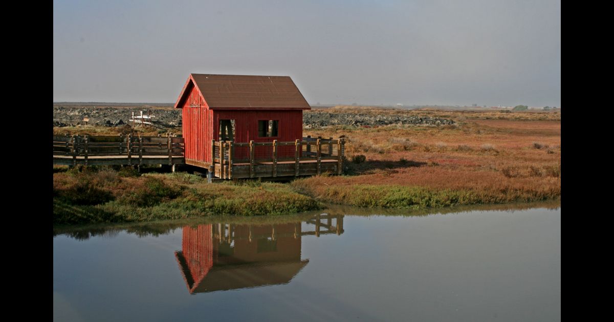 Avis hire cars in Newark KAYAK