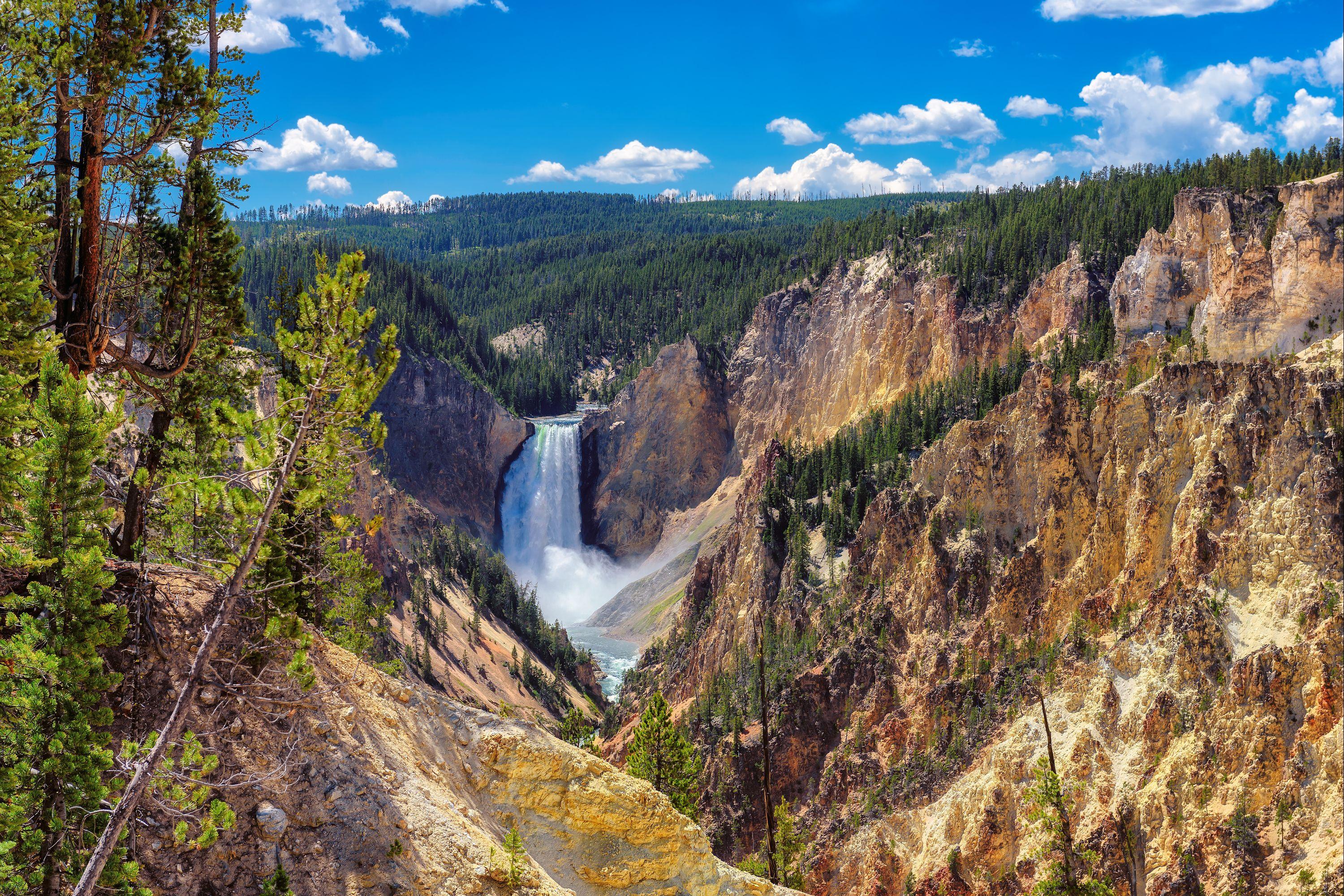 Cheap Flights from Philadelphia to Yellowstone National Park KAYAK