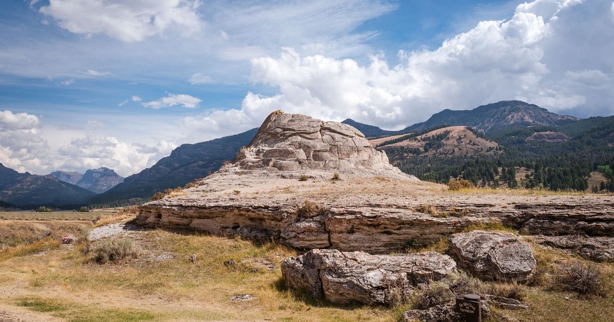 16 Best Hotels in Yellowstone National Park KAYAK