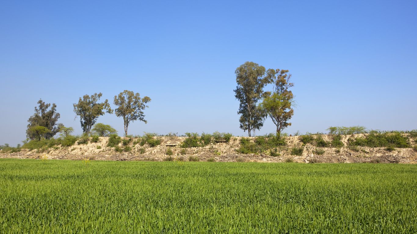 Hotels in Punjab