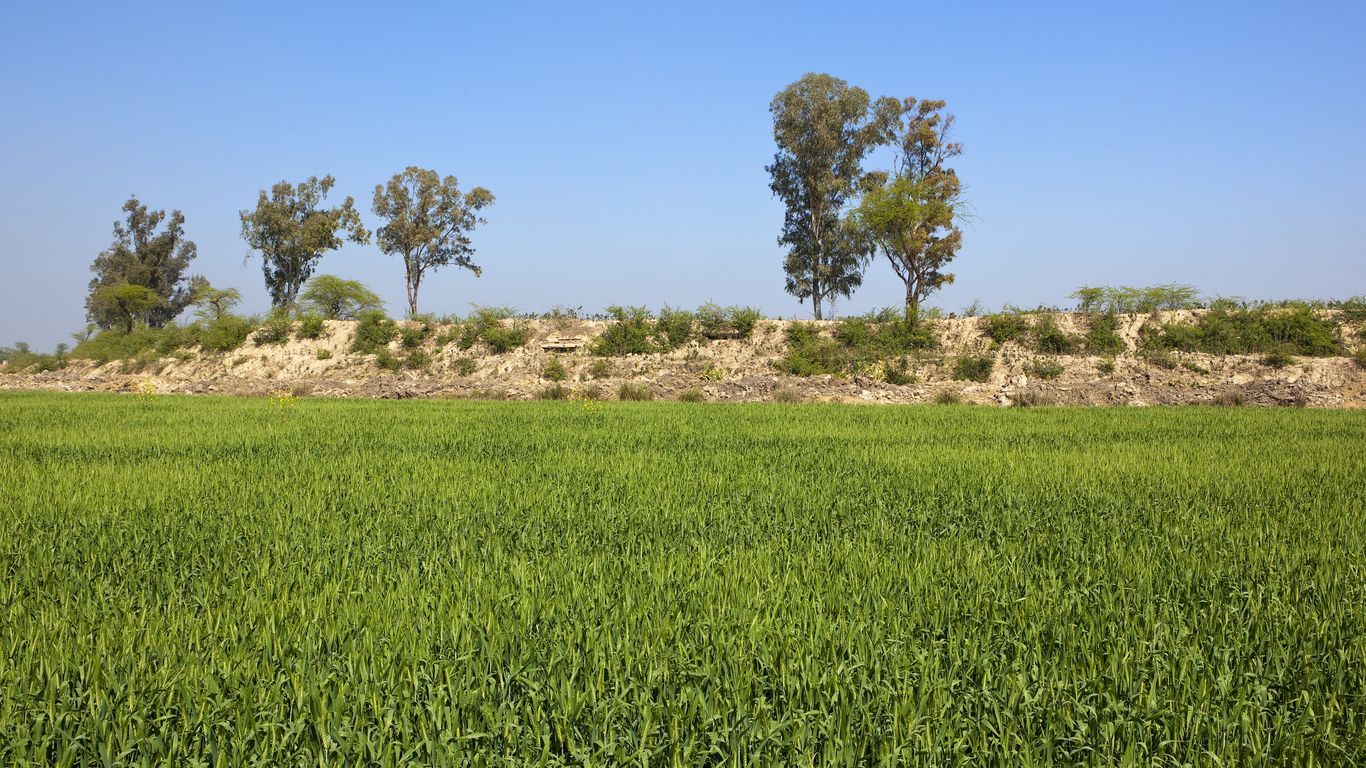 Hotels in Punjab