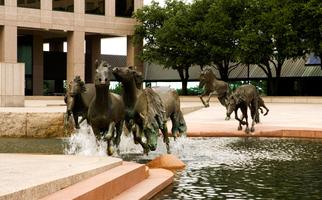 The Mustangs of Las Colinas