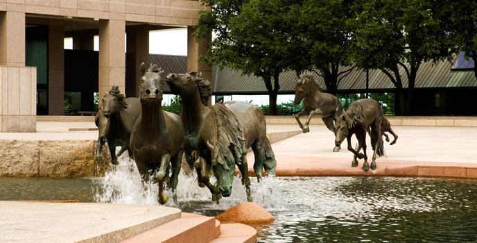 The Mustangs of Las Colinas