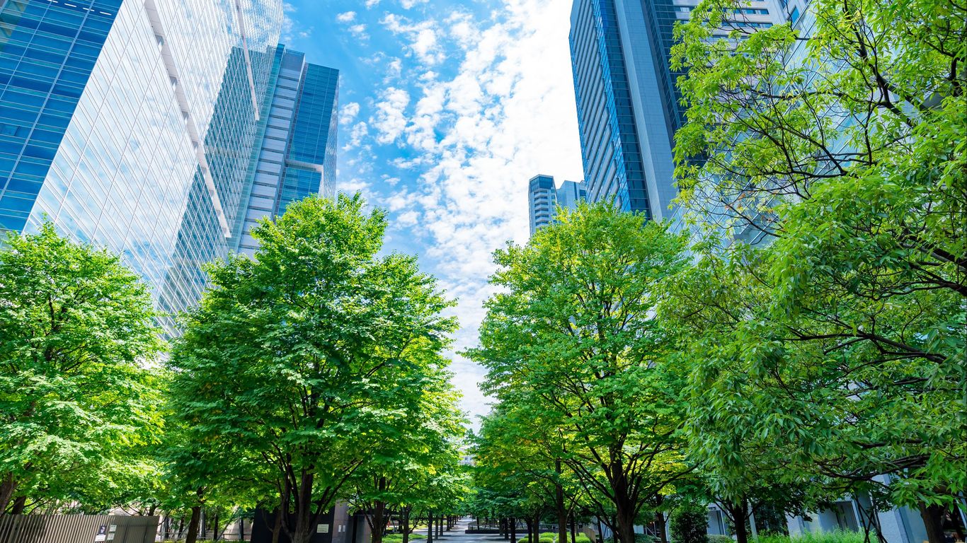 Hoteluri în Shinagawa
