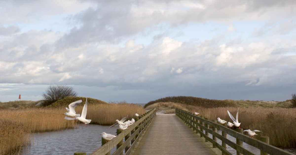 ReiseGuide für Brøndby Tourismus in Brøndby KAYAK