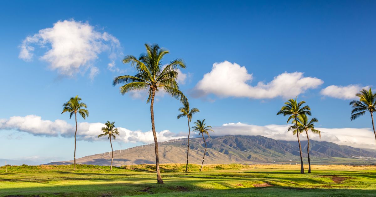 Car Rentals in Kīhei Search for Rental Cars on KAYAK