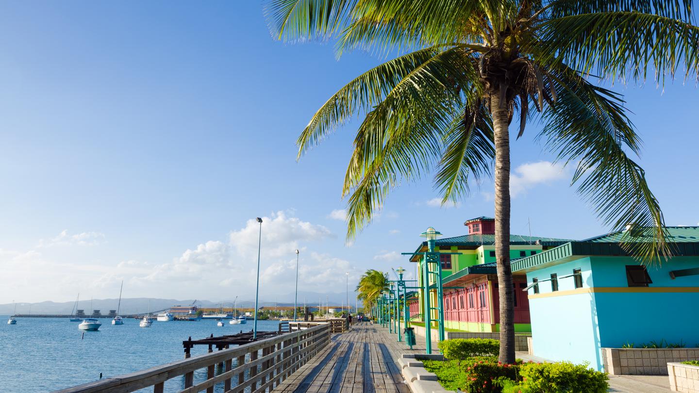 14 Best Hotels in Ponce Hotels from $70/night KAYAK 14 Best Hotels in Ponce Hotels from $70/night KAYAK