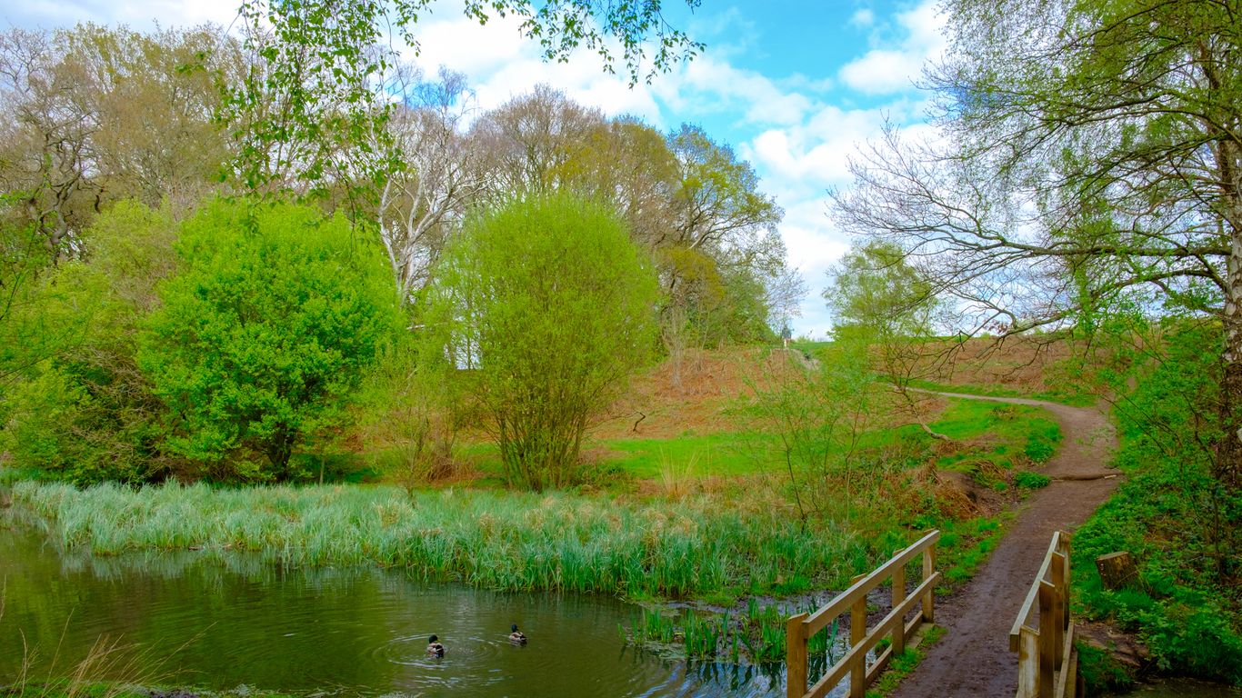 Hotels in Wimbledon