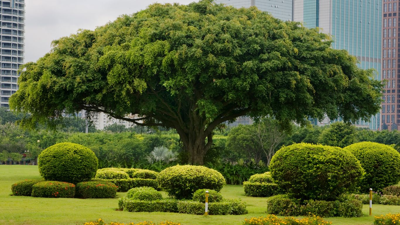 Flights to Haikou Meilan Intl