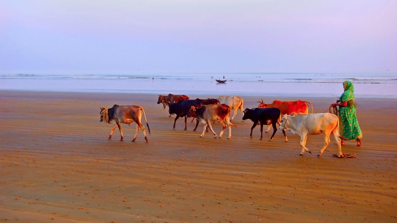 Hoteles en Digha