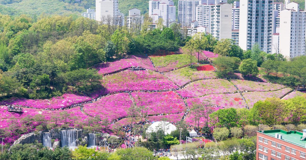 군포 인기 호텔 16개. 호텔 1박당 최저 요금 27,361원 - 카약