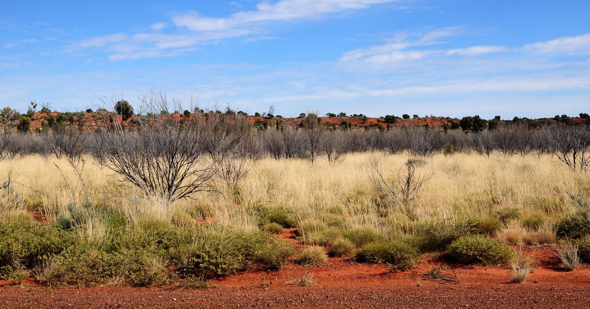 5 Best Hotels in Mutitjulu KAYAK