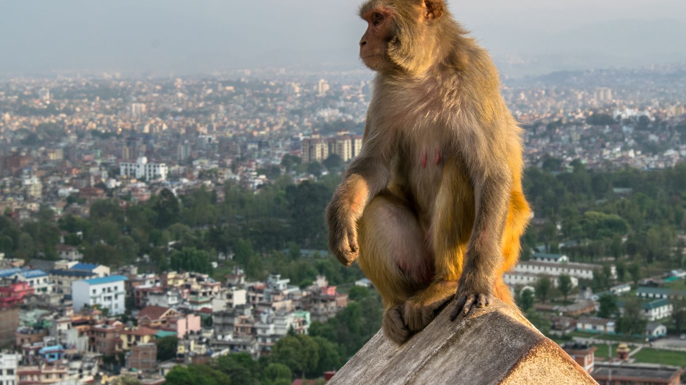 Kathmandu Kathmandu