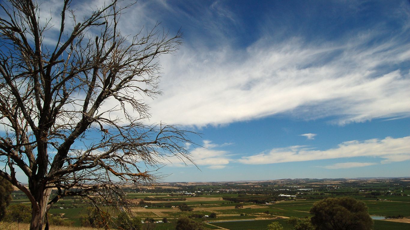 Hotels in Tanunda